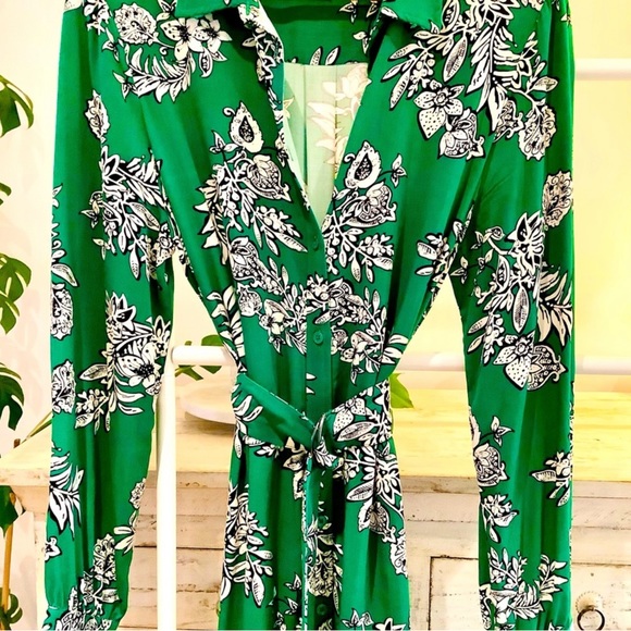 DAVID JONES | Green Shirt Dress - Picture 3 of 13